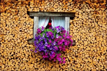 [Hearth.com] Need a chainsaw?  Clueless.