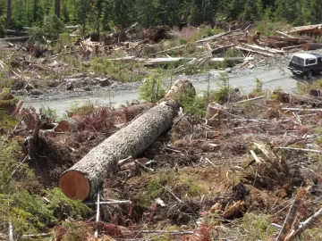 [Hearth.com] Old Growth Fir Log