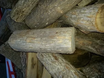 [Hearth.com] Finally scored some free wood.