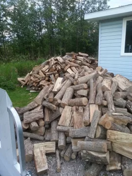 [Hearth.com] Finally scored some free wood.
