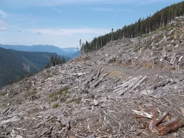 [Hearth.com] Old Growth Fir Log