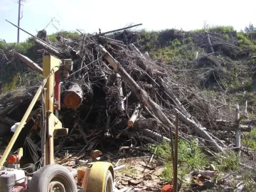 [Hearth.com] Old Growth Fir Log