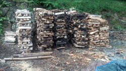 A Beginners Wood Pile w/pics
