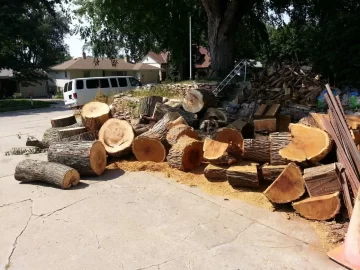 [Hearth.com] It's great to have a wood fairy.