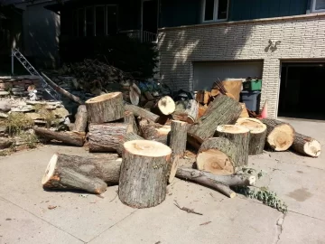 [Hearth.com] It's great to have a wood fairy.