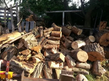 [Hearth.com] It's great to have a wood fairy.