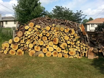 [Hearth.com] It's great to have a wood fairy.