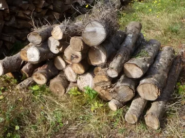 [Hearth.com] Sawbuck for small rounds