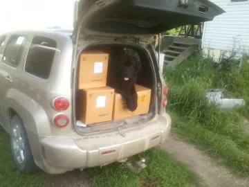 [Hearth.com] Busy in CT today