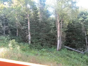[Hearth.com] Cog Railway at Mount Washington, in NH