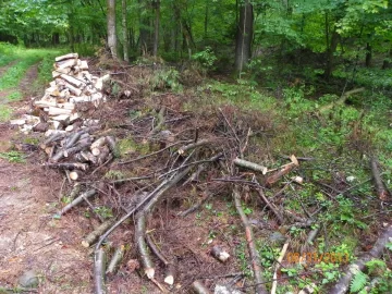 [Hearth.com] Trail Maintenance