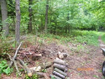 [Hearth.com] Trail Maintenance