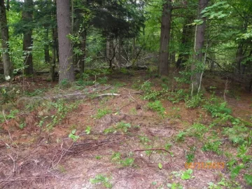 [Hearth.com] Trail Maintenance