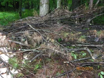 [Hearth.com] Trail Maintenance