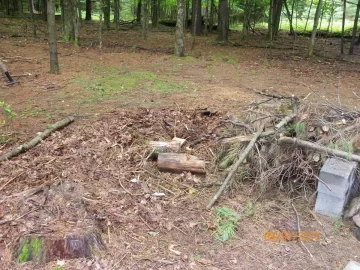 [Hearth.com] Trail Maintenance