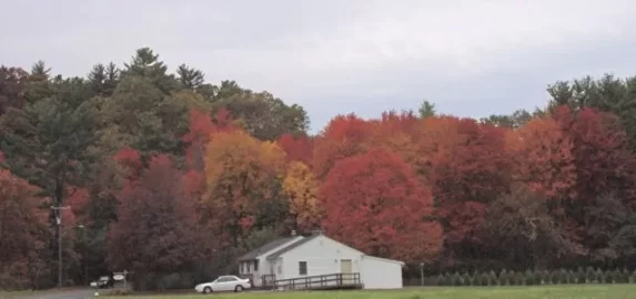 [Hearth.com] More Fall Pics - w. Mass.