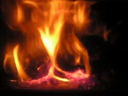 follow up to Kent Rosebay burning biobrick