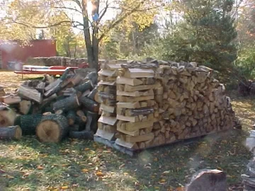 [Hearth.com] Pictures of My Wood Stacks and Shed (Lots of Them!)