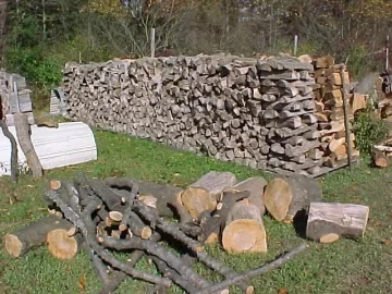 [Hearth.com] Pictures of My Wood Stacks and Shed (Lots of Them!)