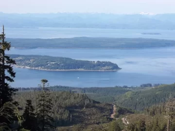 [Hearth.com] Granny's Island