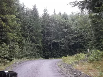 [Hearth.com] Old Growth Fir Log