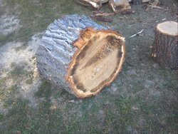 29 splits from one oak round....