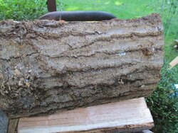 What is the easy-splitting wood