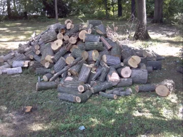 [Hearth.com] I'm having major seperation anxiety here.......