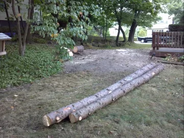 [Hearth.com] Today's work.......40' blue spruce