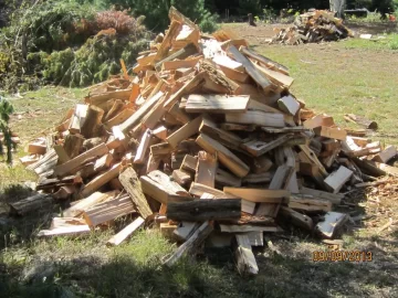 [Hearth.com] See what my neighbor gave me