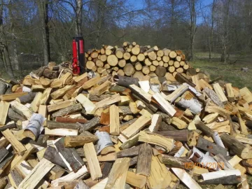 [Hearth.com] Issues Gathering Wood?