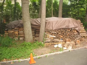 [Hearth.com] Top covered the stacks today...