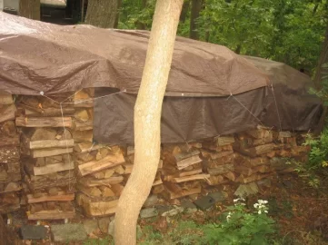 [Hearth.com] Top covered the stacks today...