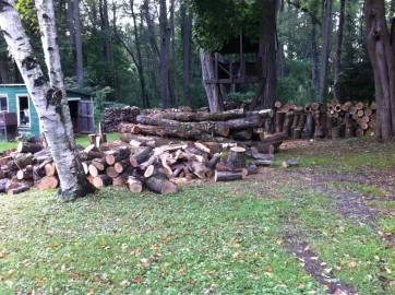 [Hearth.com] Another log load