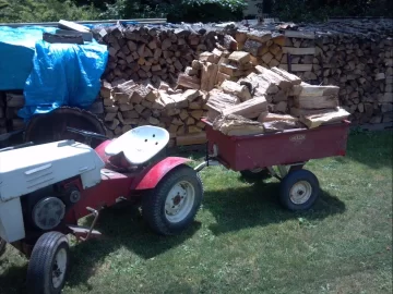 [Hearth.com] Best way to move the wood from the pile to my house?