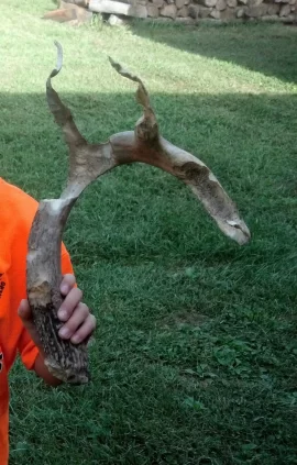 [Hearth.com] Who's ready for fall and hunting to start?