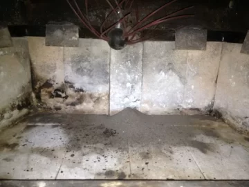 [Hearth.com] Last Sweep Before Burn Time (Pics)