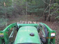 new rough cut trail to maple grove