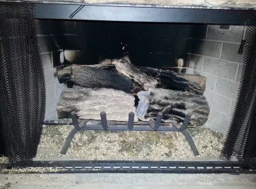 [Hearth.com] Fireplace Problems