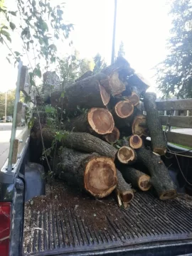 [Hearth.com] It's great to have a wood fairy.