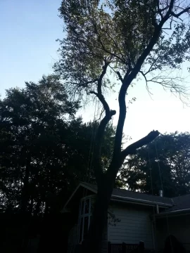 [Hearth.com] It's great to have a wood fairy.