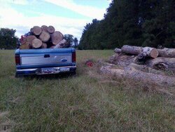 Got a load today at my shared log pile