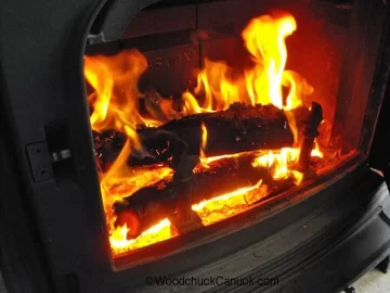 [Hearth.com] Harman Oakwood ... lots of ash in back (con't)