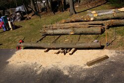 Buy Tree Length Logs or Buy Already Split firewood