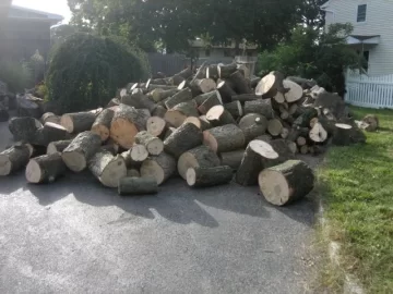 [Hearth.com] newbie... excited for my install