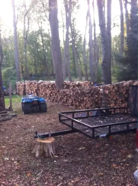 [Hearth.com] Another log load