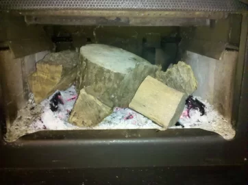 [Hearth.com] Burning the chunky monkeys !!