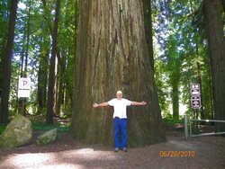 Denny by big redwood.JPG