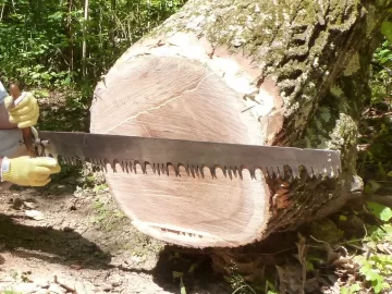 [Hearth.com] Using Old Crosscut Saw