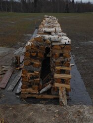 Stacked some birch today. pics